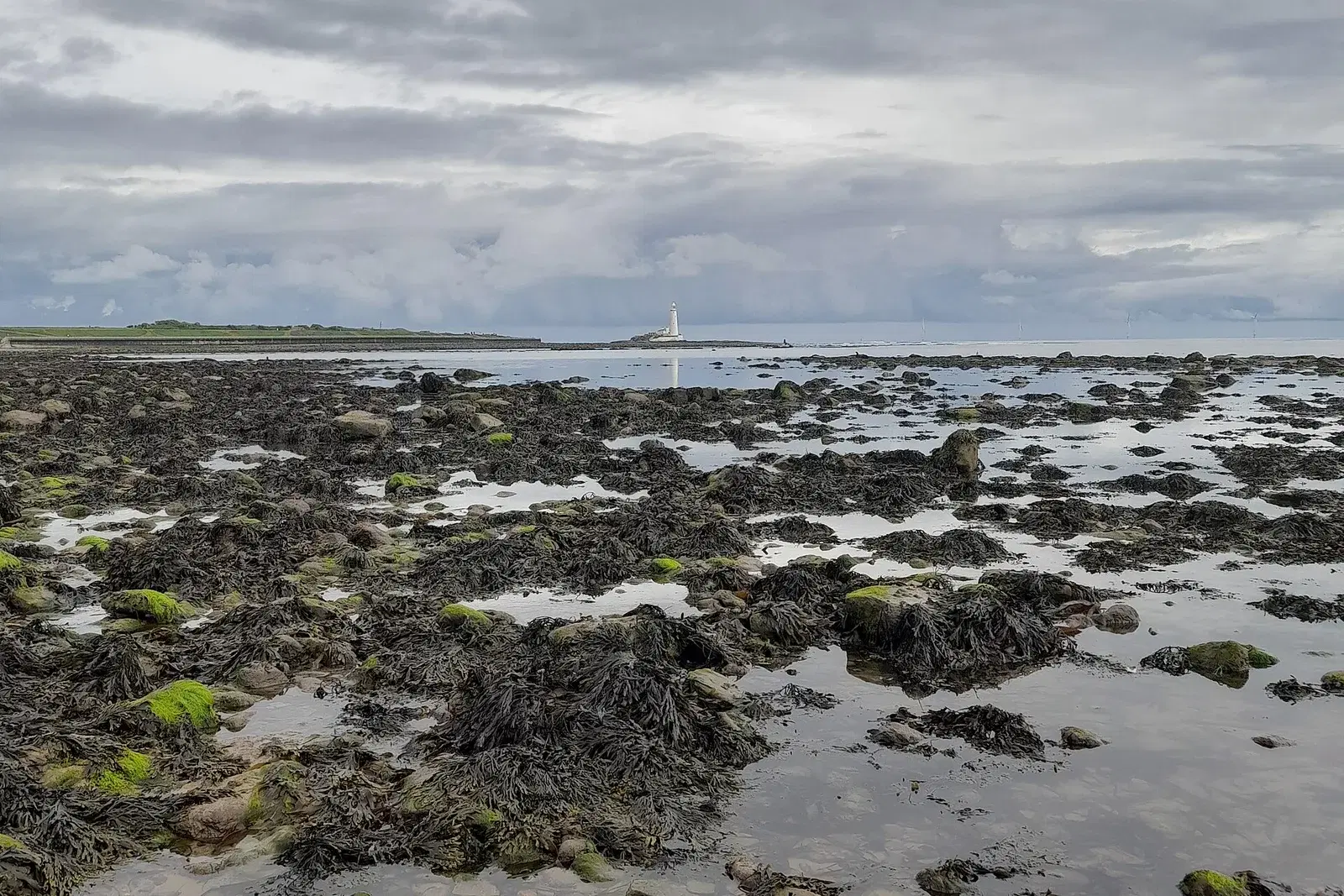 Interesting Facts About Whitley Bay